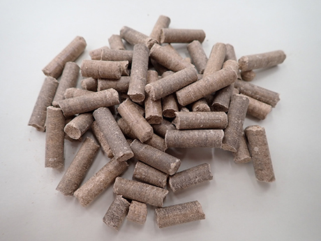 Woody Biomass (Pellet)